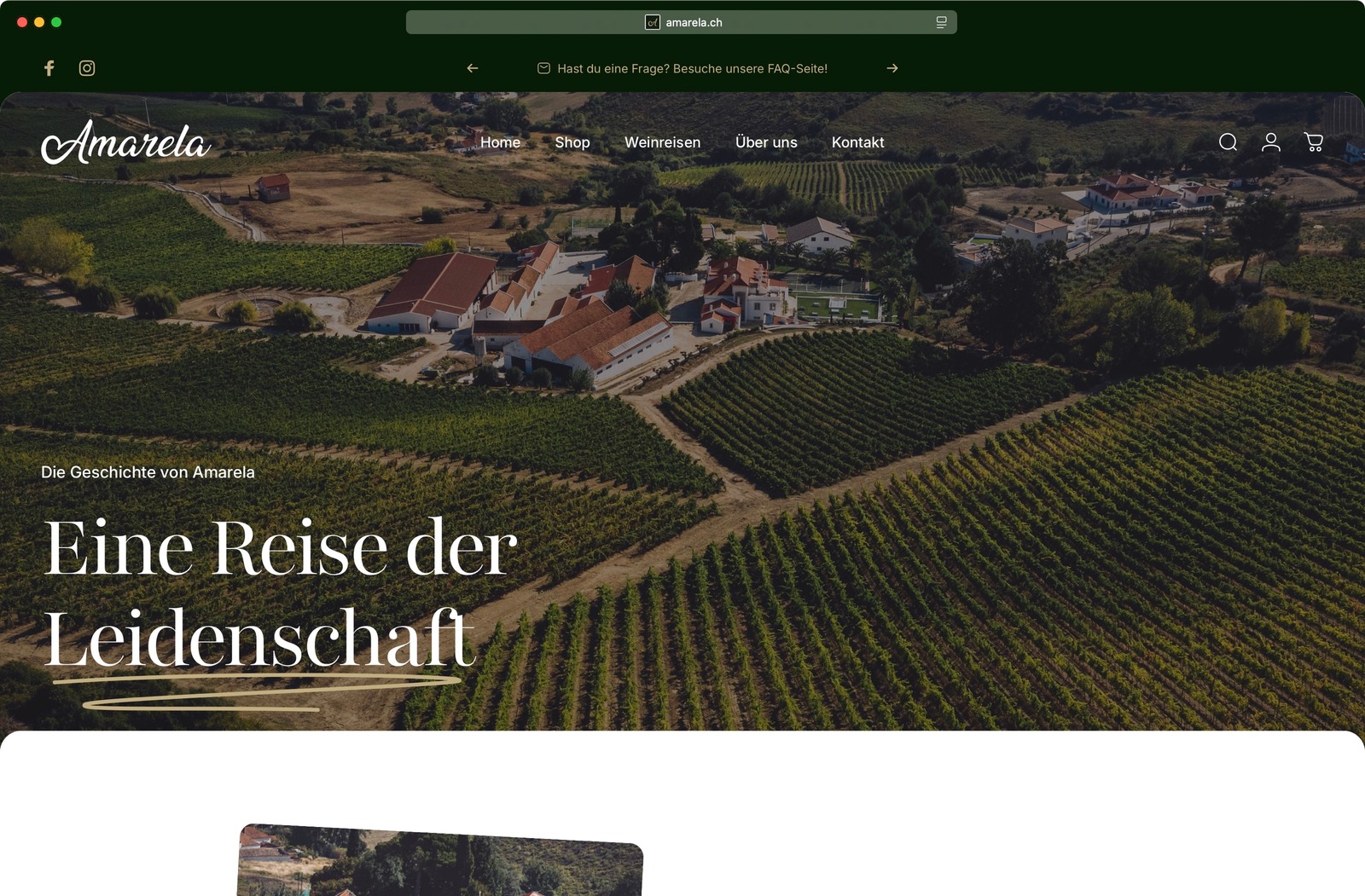 Amarela Website Hero mit Rebberg und dem Titel Eine Reise der Leidenschaft