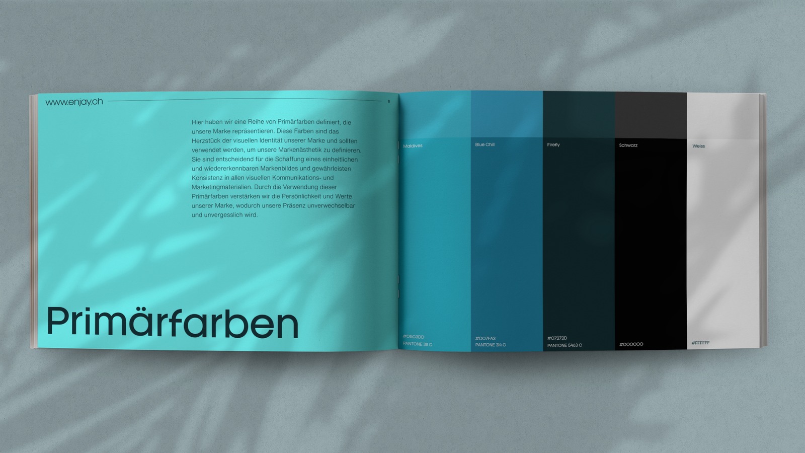 enjay Brand Guide Primärfarben