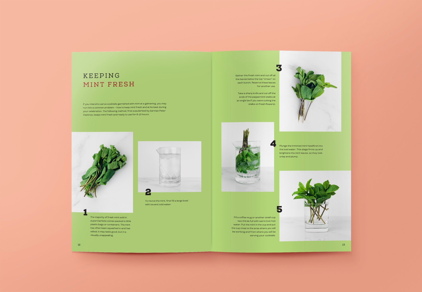 The Alpinist Rezeptbuch Doppelseite Mint Fresh